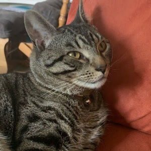 Meet your Posher, Khloe